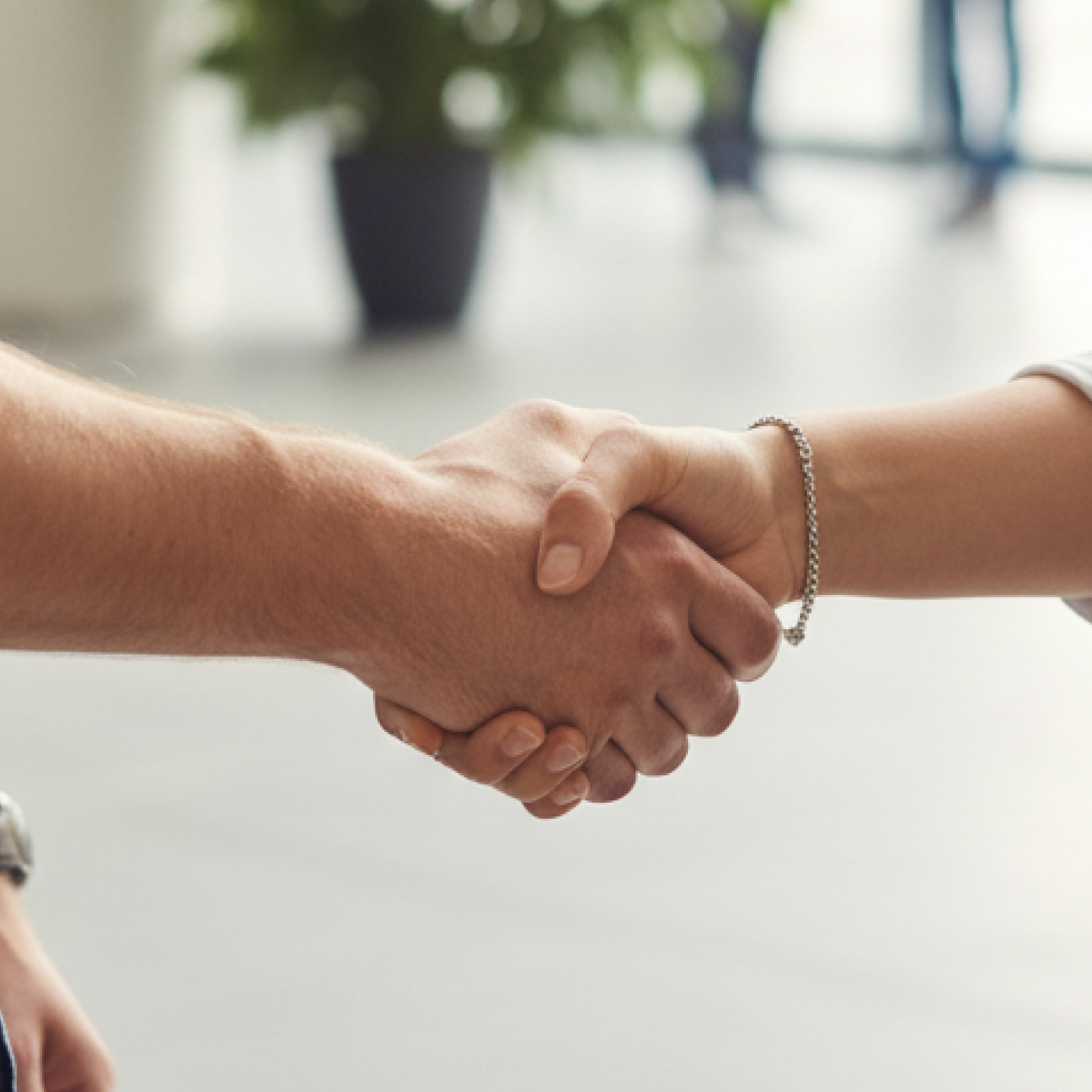 Konzultace a výběr